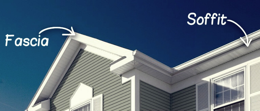 fascia and soffit